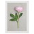 cdbc902dd52aa91ac99fc2fc041bead6.jpg