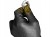 afc3497f996bb1c5450cf9876fb4fa8b.jpg