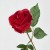a81c6d7ca64b103bb276d08304b92c93.jpg